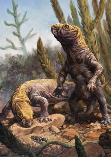 Dicynodon