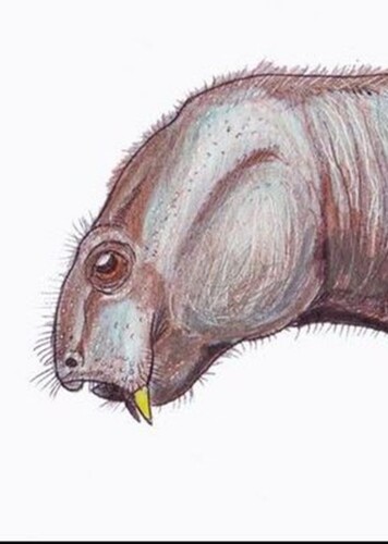 Dicynodontoides