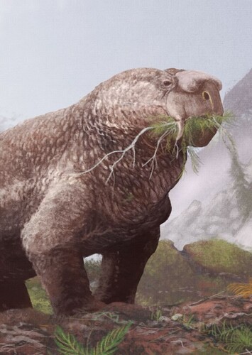 Dicynodonts
