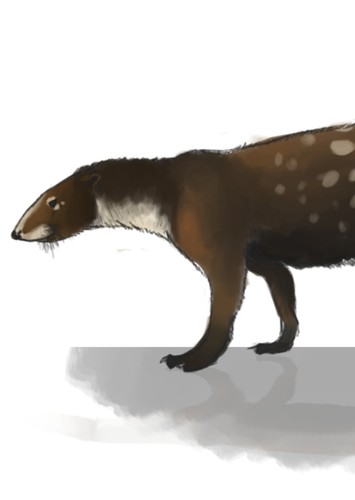 Didelphodon