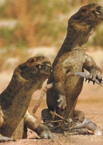 Diictodon