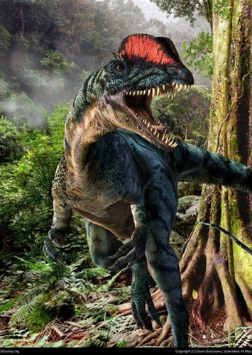 Dilophosaurus