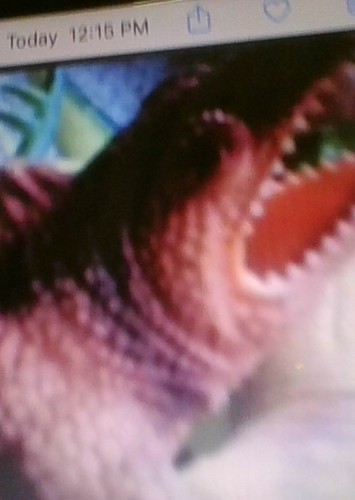 Dimetrodon