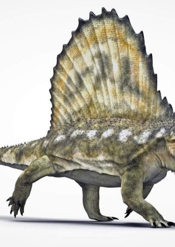 Dimetrodon