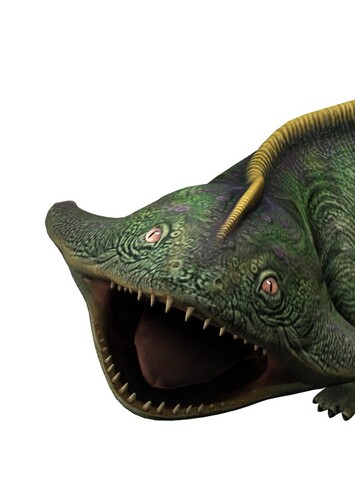 Diplocaulus