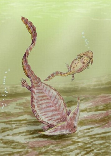 Diplocaulus