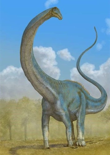 Diplodocus