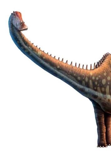 Diplodocus