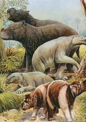 Diprotodon