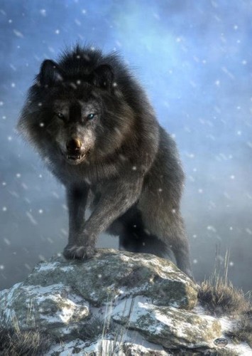 Dire Wolf