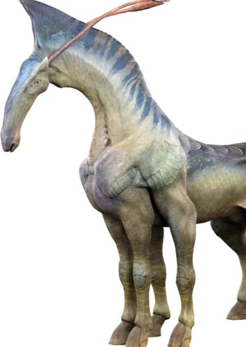 Direhorse #2