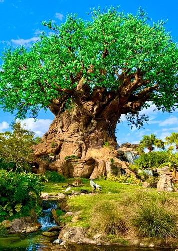 Disney's Animal Kingdom