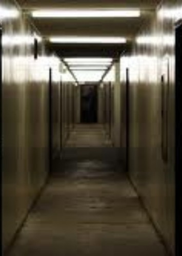 Disney's Catacombs