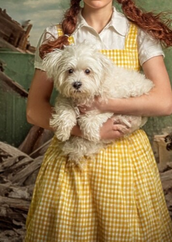 Dixie (or Daisy)
