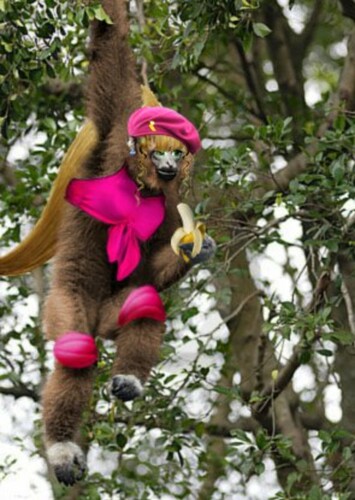 Dixie Kong