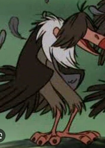 Dizzy The Vulture