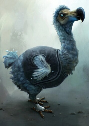Dodo