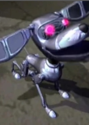 Dog