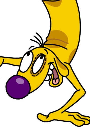 Dog