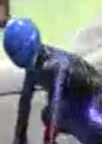 Dog Possesed Jungle Fury Blue