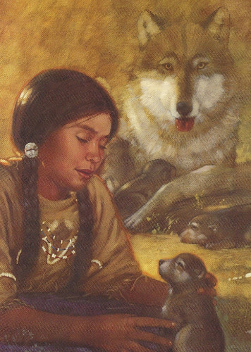 Dog Pets