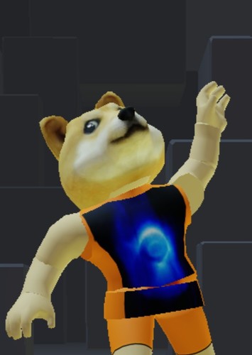 Doge