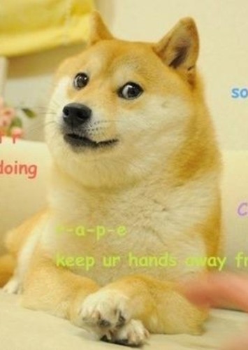 Doge