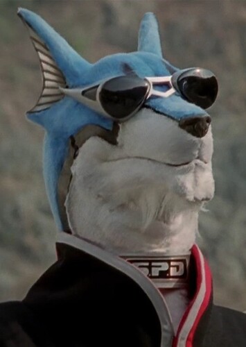Doggie Kruger
