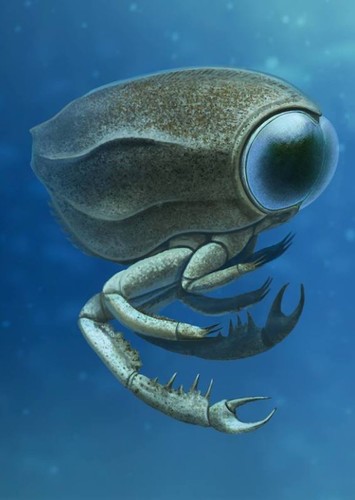 Dollocaris