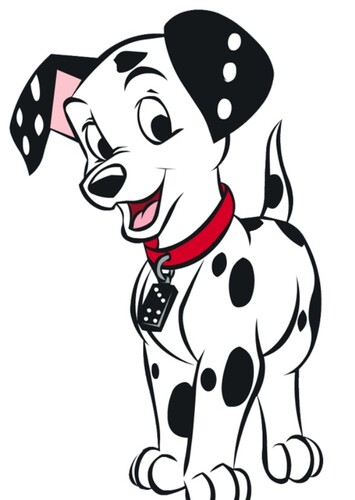 Domino
