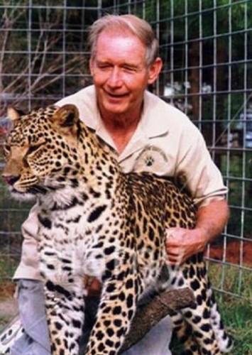 Don Lewis