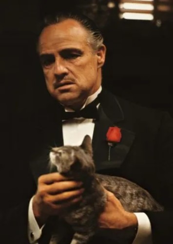 Don Vito Corleone