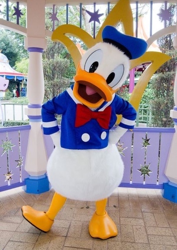 Donald Duck