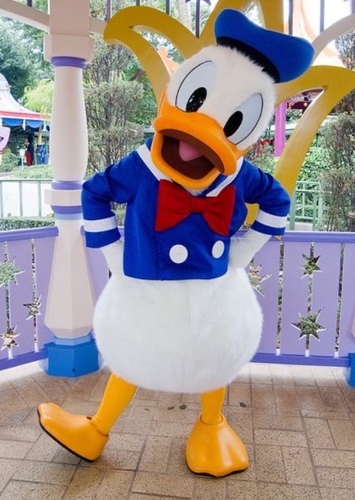 Donald Duck