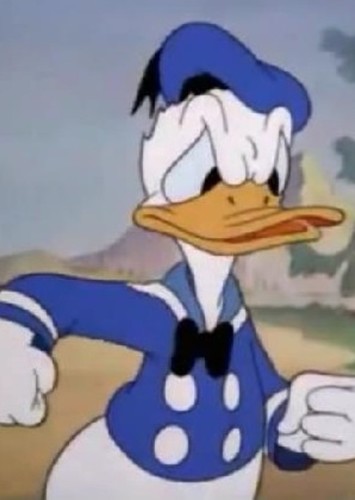 Donald Duck