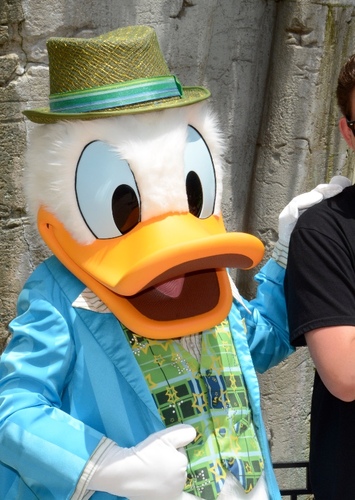 Donald Duck