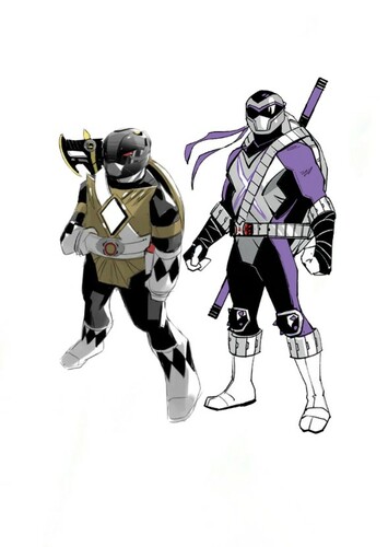 Donatello The Black Turtle Ranger Dimension X Purple Ranger