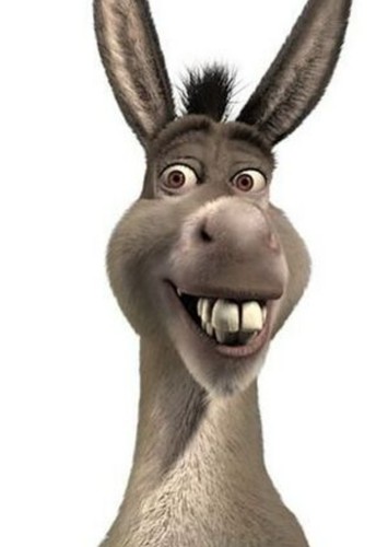 Donkey