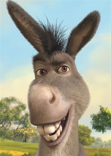 Donkey