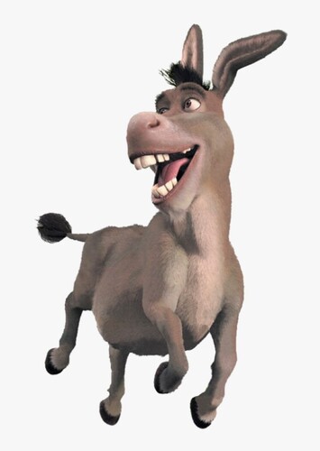 Donkey