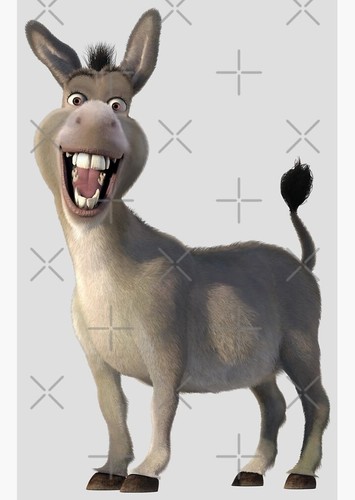 Donkey