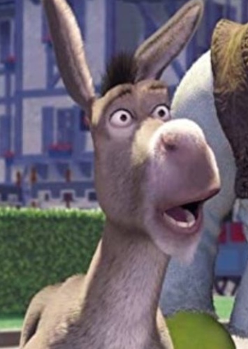 Donkey