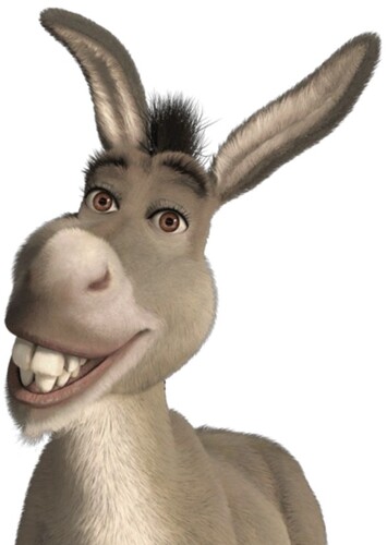 Donkey