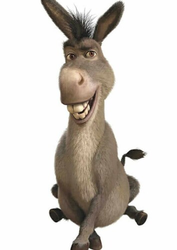Donkey