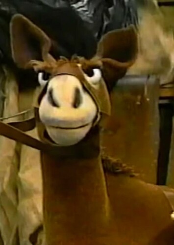 Donkey