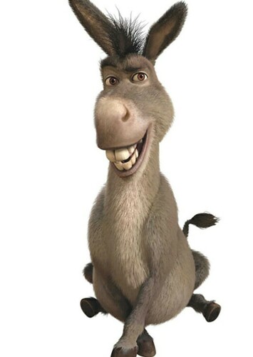 Donkey