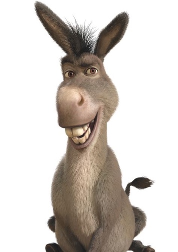 Donkey