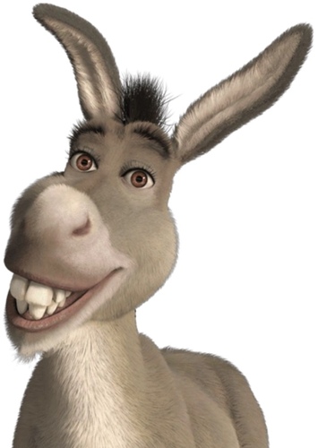 Donkey