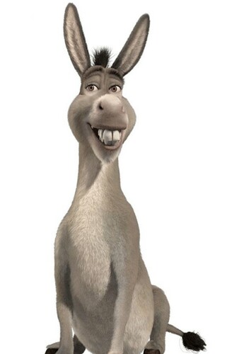 Donkey