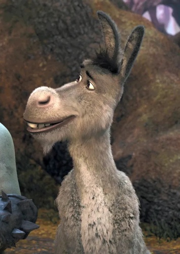 Donkey